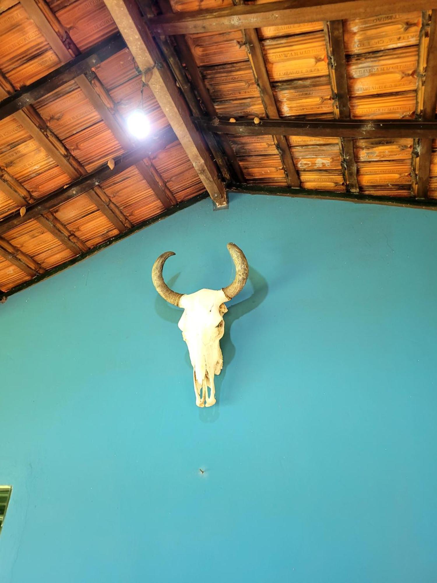 Pousada Fazenda Sao Pedro Delfinópolis Esterno foto